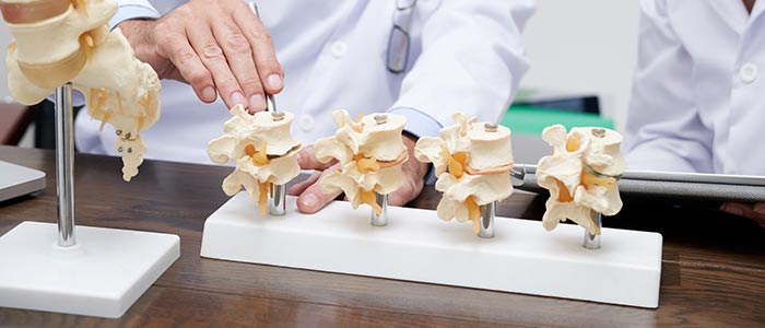 Spinal Disc Injury Education Spinal Disc Injury Education