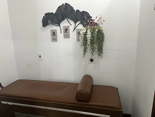 Chiropractic Morgan Hill CA Brown Adjusting Table